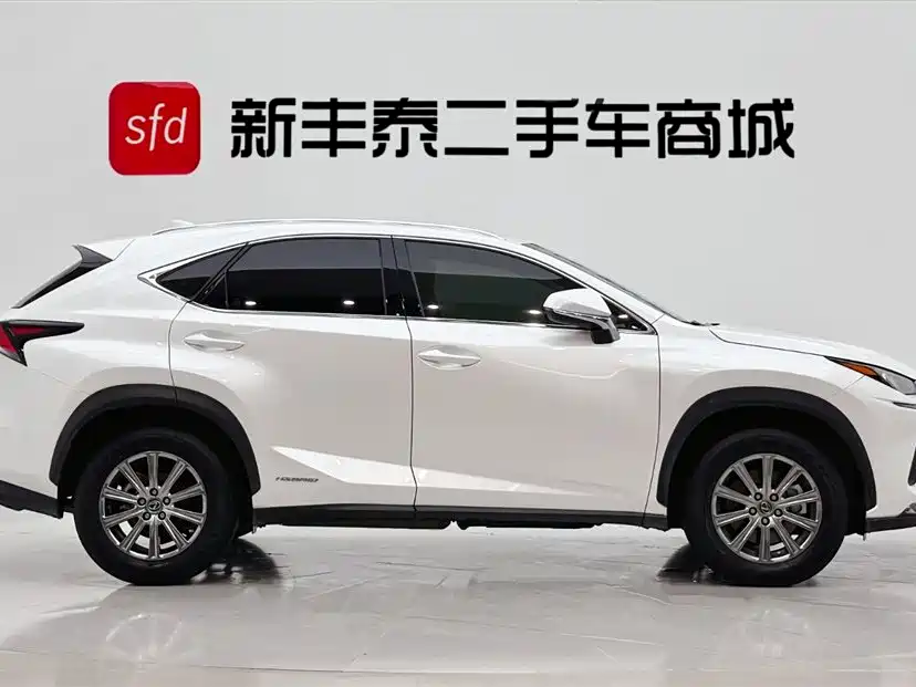 Lexus NX 2020 300h Front-wheel Drive Fengshang Edition National VI