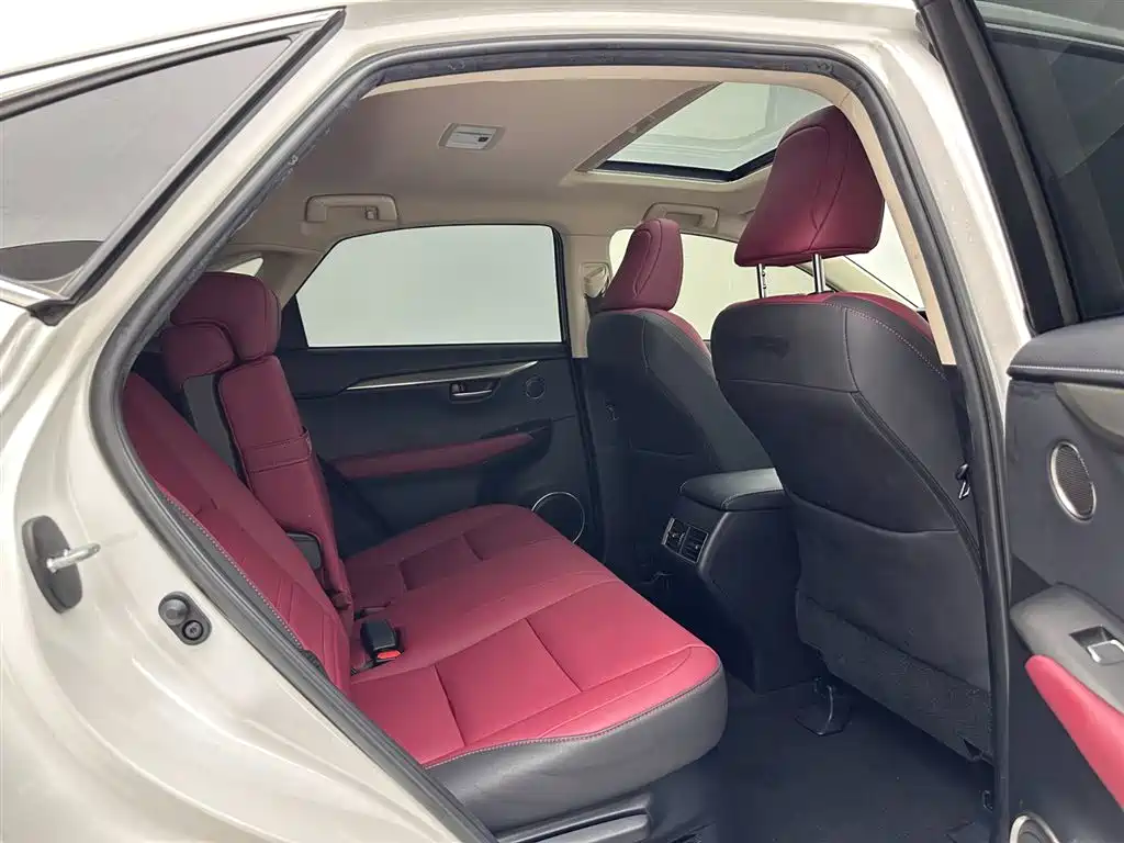 Lexus NX 2020 300h Front-wheel Drive Fengshang Edition National VI