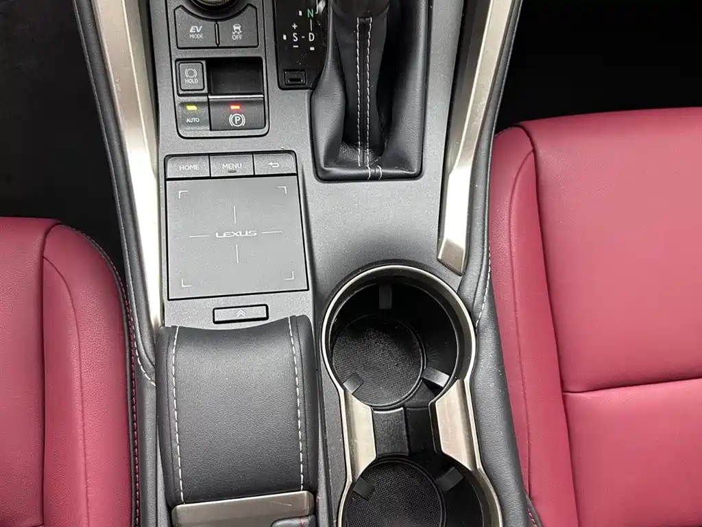 Lexus NX 2020 300h Front-wheel Drive Fengshang Edition National VI