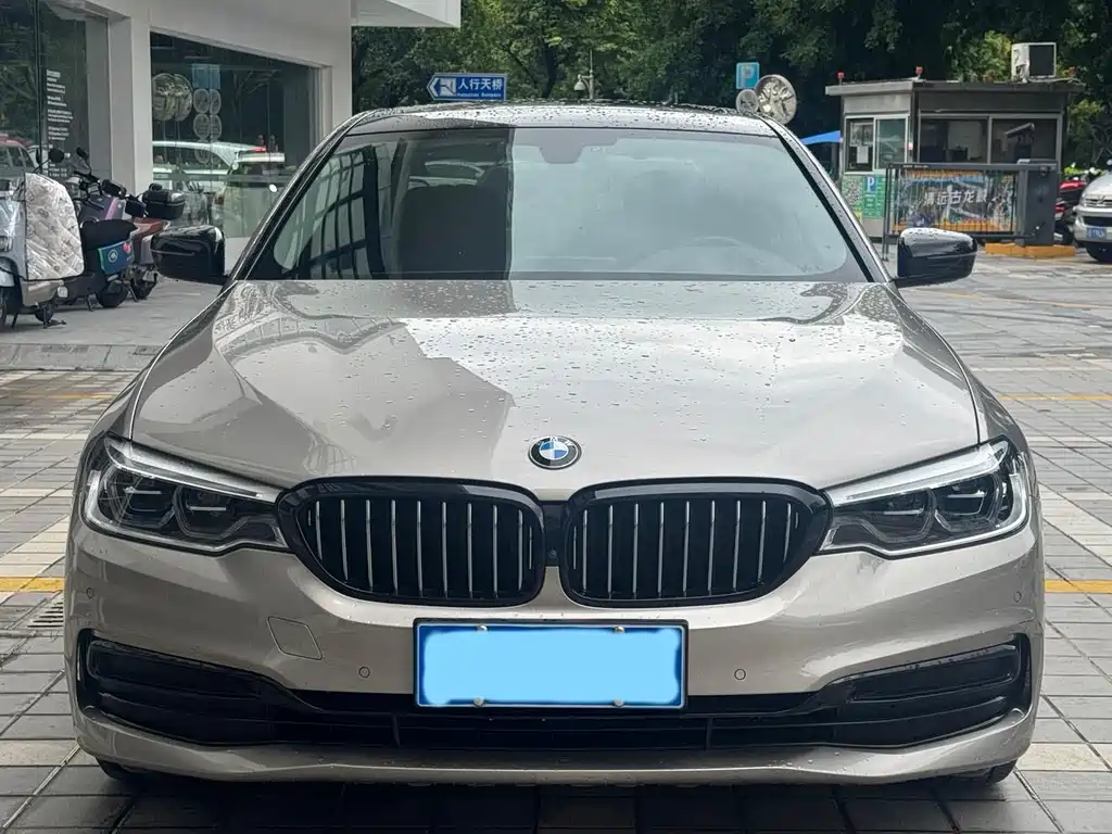 BMW 5 Series 2020 530Li Grandeur Edition Luxury Package