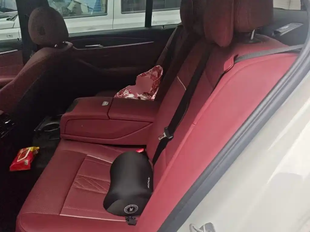 BMW 5 Series 2022 530Li Leading Edition M Sport Package