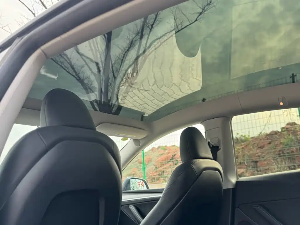 Model Y 2024 Rear-Wheel Drive Edition