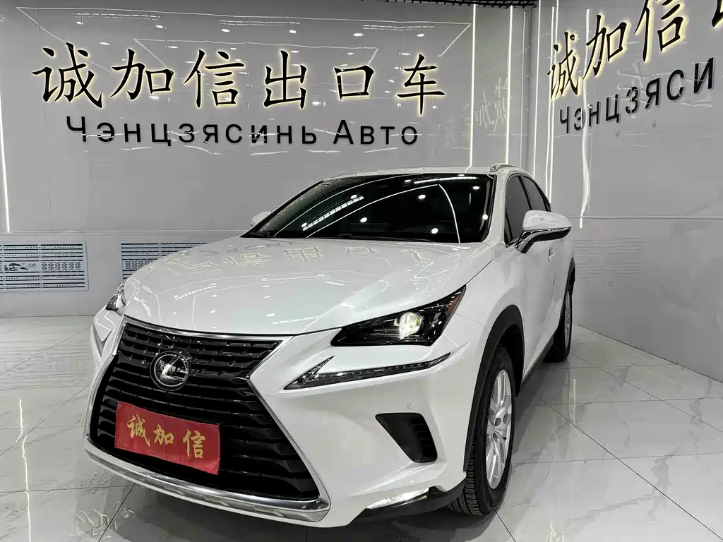Lexus NX 2020 200 All-Wheel Drive Fengshang Edition National VI