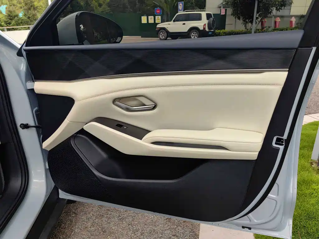 Qin L 2024 DM-i 80KM Leading Edition