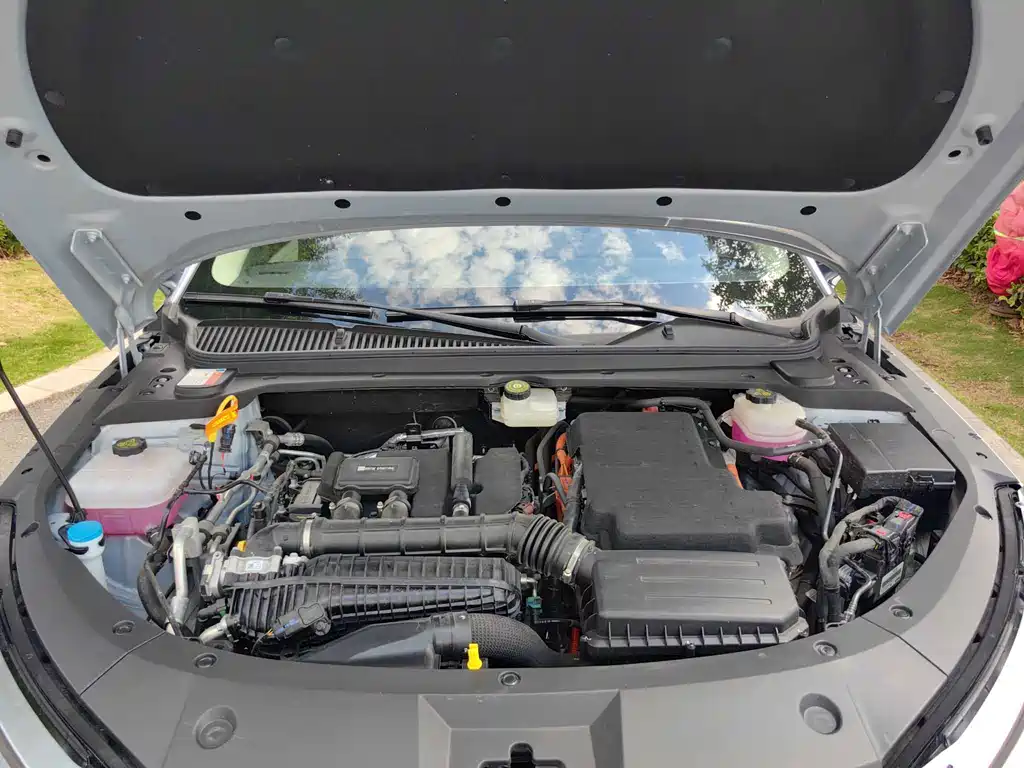 Qin L 2024 DM-i 80KM Leading Edition