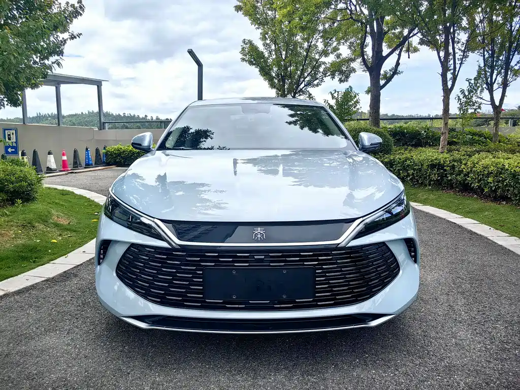 Qin L 2024 DM-i 80KM Leading Edition