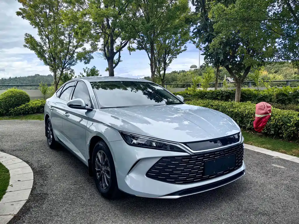 Qin L 2024 DM-i 80KM Leading Edition