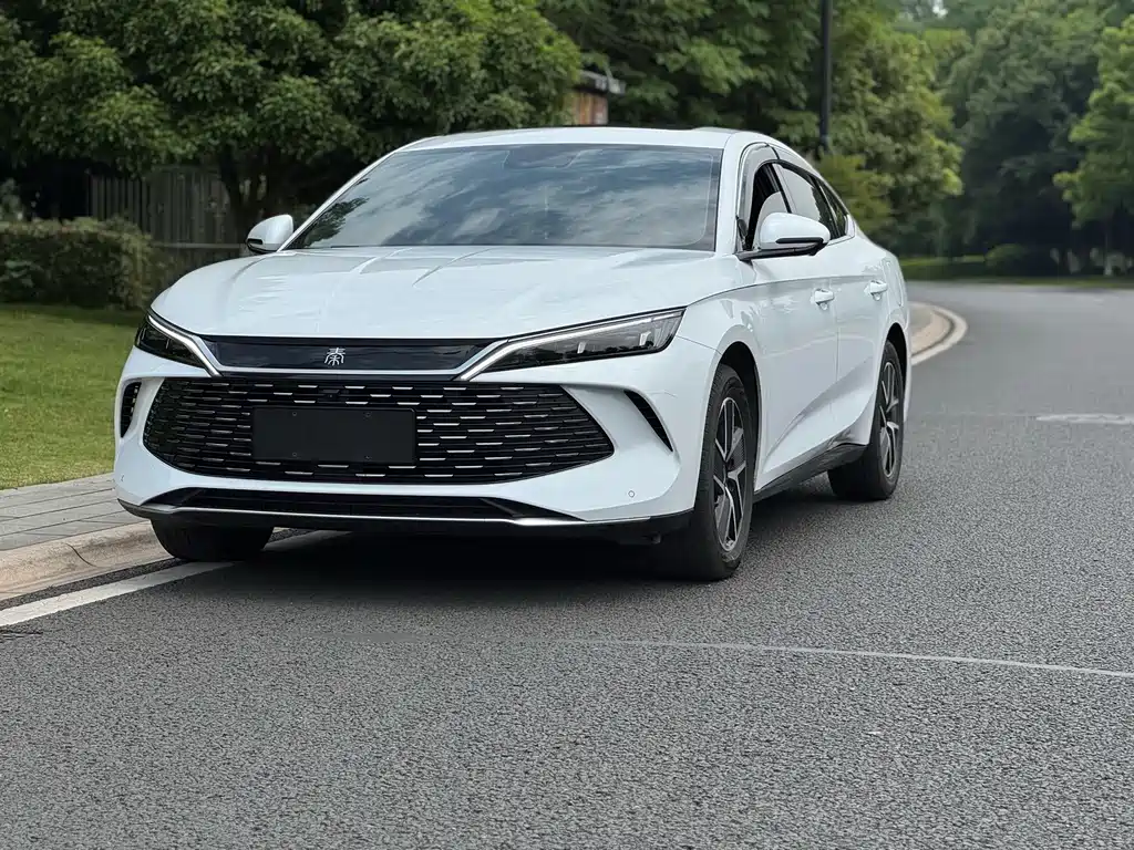 Qin L 2024 DM-i 120KM Leading Edition