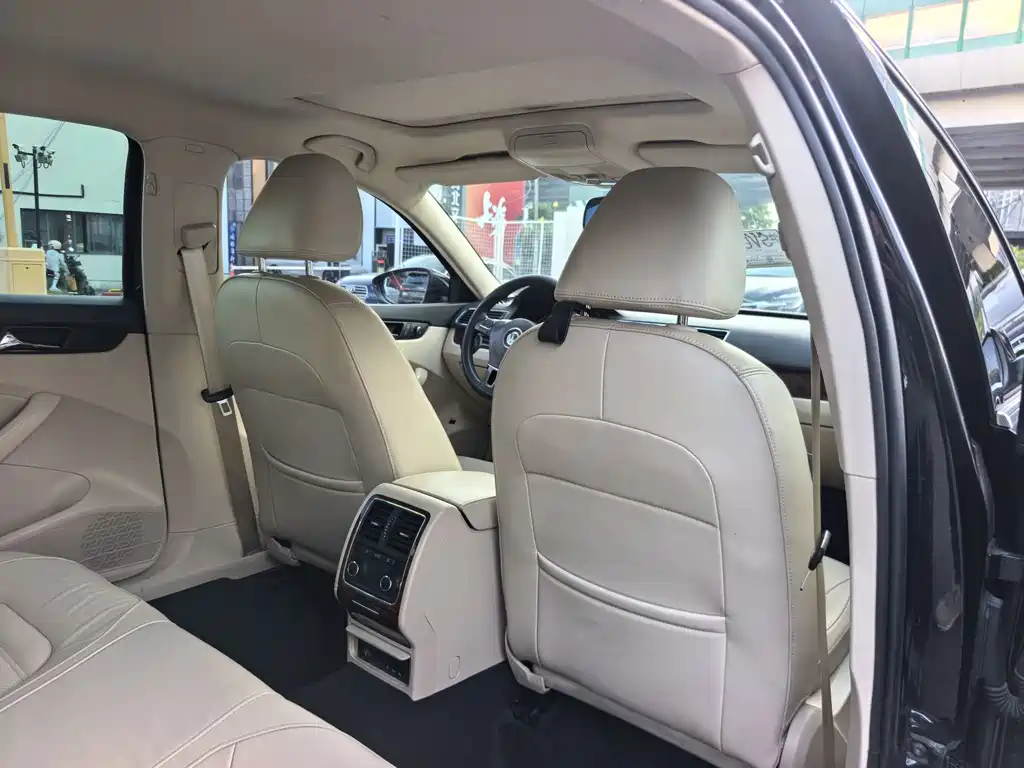 Passat 2013 1.8TSI DSG Yuzhen Edition
