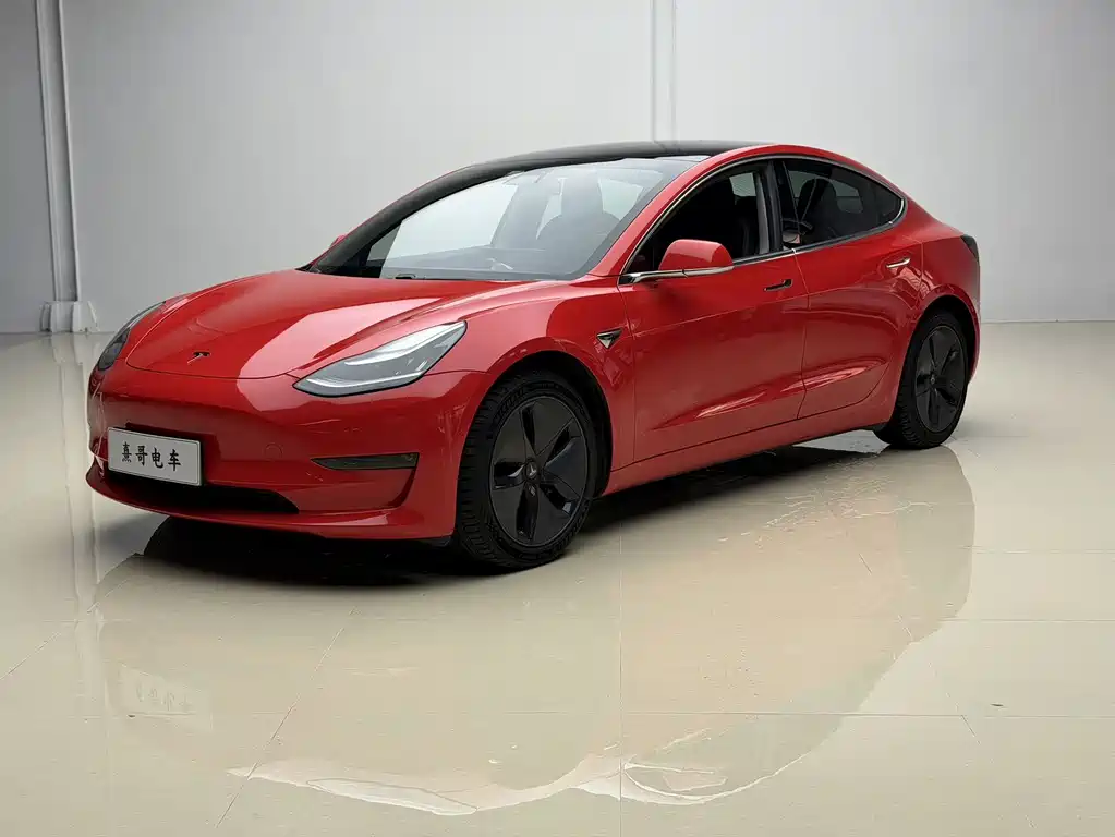 Model 3 Long Range Rear-Wheel Drive 2019 Import Edition