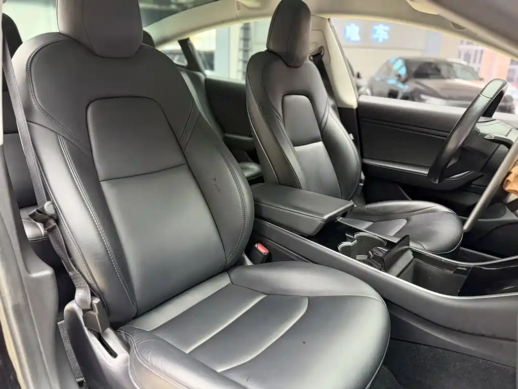 Model 3 Long Range Rear-Wheel Drive 2019 Import Edition
