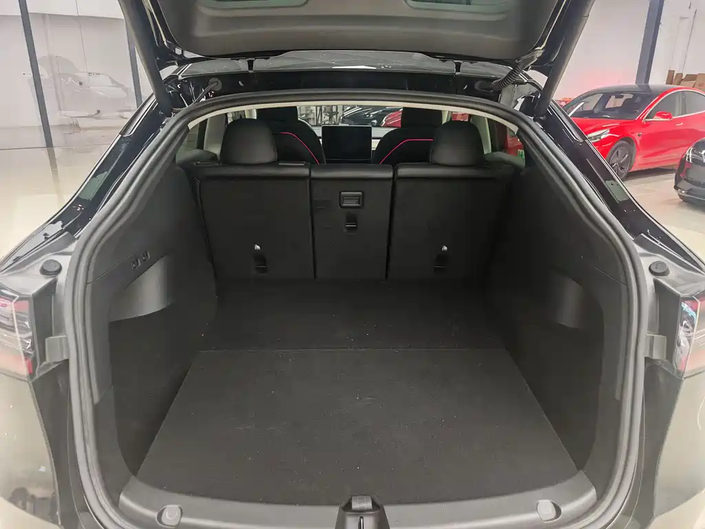 Model Y 2022 Rear-Wheel Drive Edition