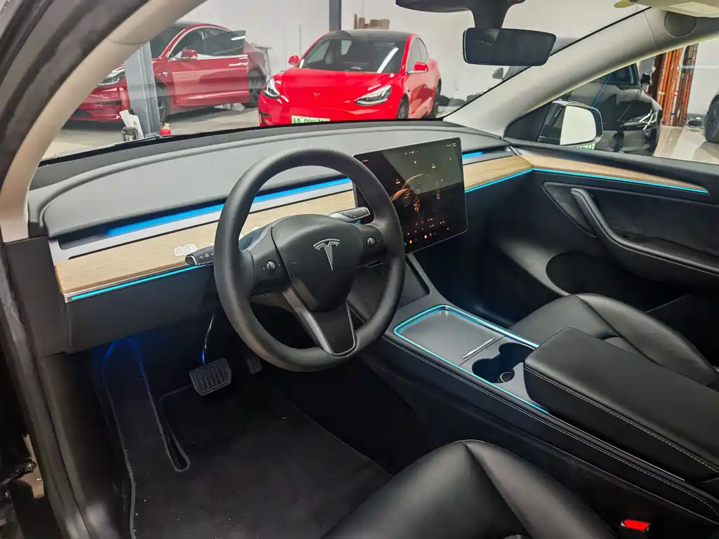 Model Y 2022 Rear-Wheel Drive Edition