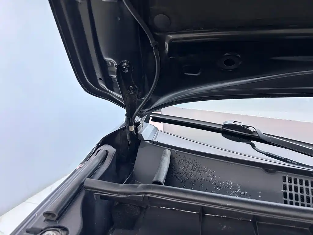 2021 Hanlan Da 2.0T 4x4 Luxury Edition 7-seat