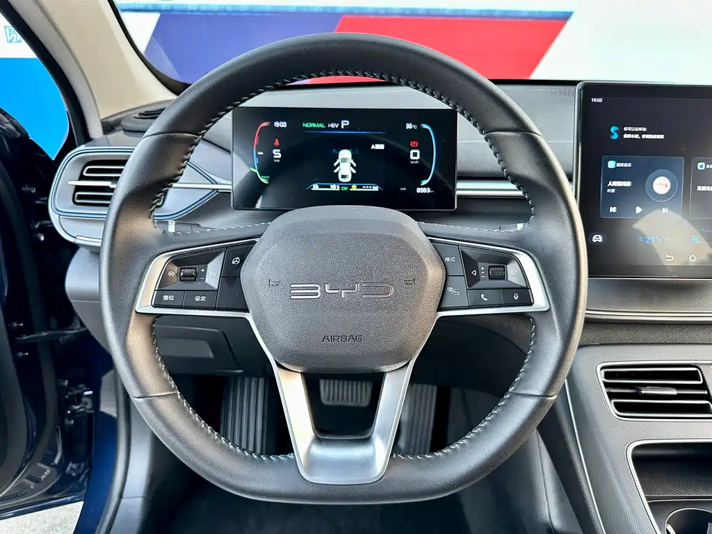 Drive 05 2024 Model Honor Edition DM-i 55KM Luxury Type