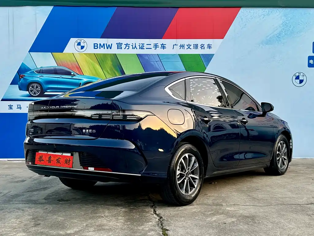 Drive 05 2024 Model Honor Edition DM-i 55KM Luxury Type