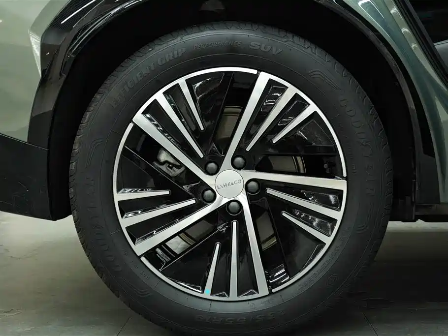 LEON 08 EM-P 2023 Performance Halo 4WD 220km