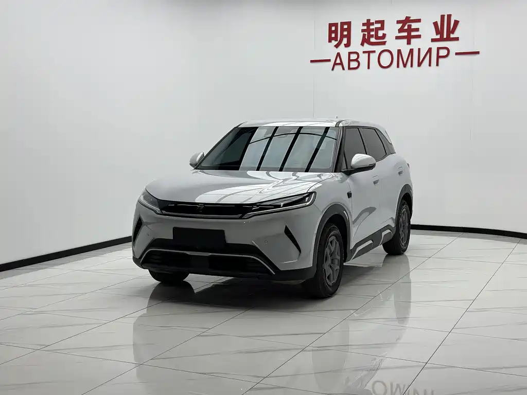 Yuan UP 2025 Edition Smart Drive Version 401KM Vitality Version