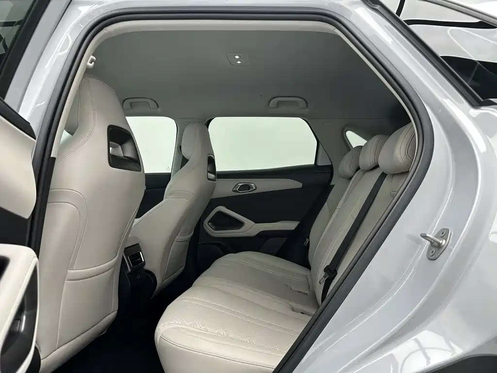 Yuan UP 2025 Edition Smart Drive Version 401KM Vitality Version