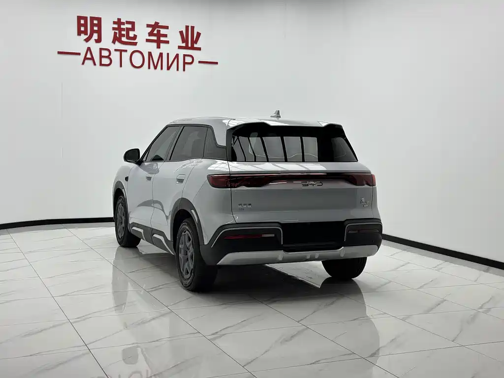 Yuan UP 2025 Edition Smart Drive Version 401KM Vitality Version