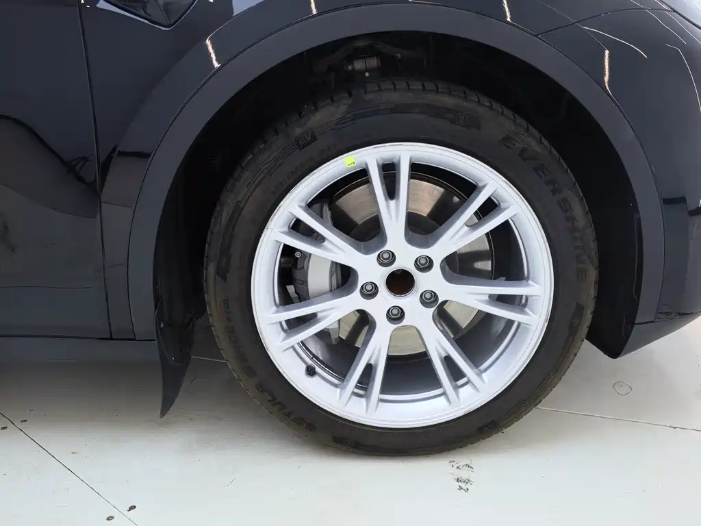 Model Y 2022 Rear-Wheel Drive Edition