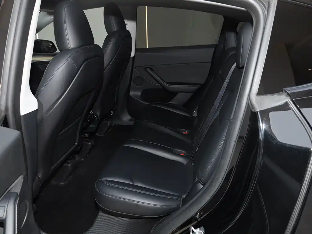 Model Y 2022 Rear-Wheel Drive Edition