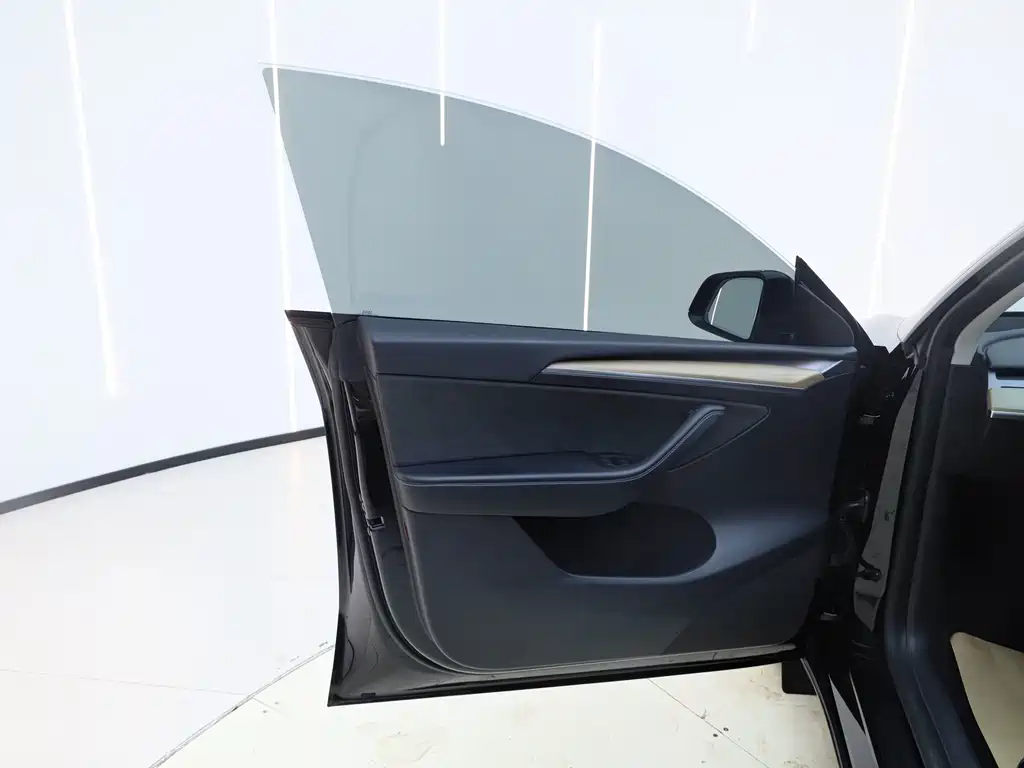Model Y 2022 Rear-Wheel Drive Edition