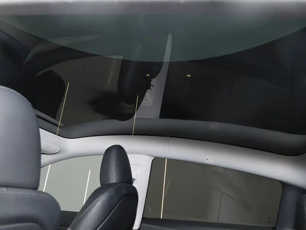 Model Y 2022 Rear-Wheel Drive Edition