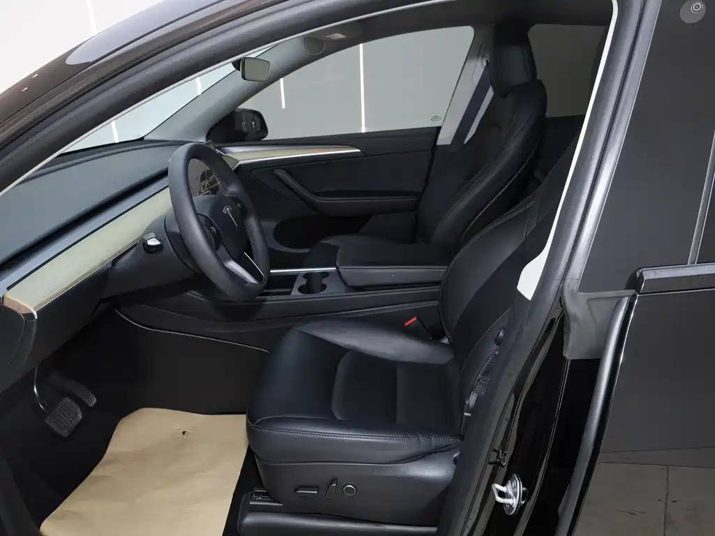 Model Y 2022 Rear-Wheel Drive Edition