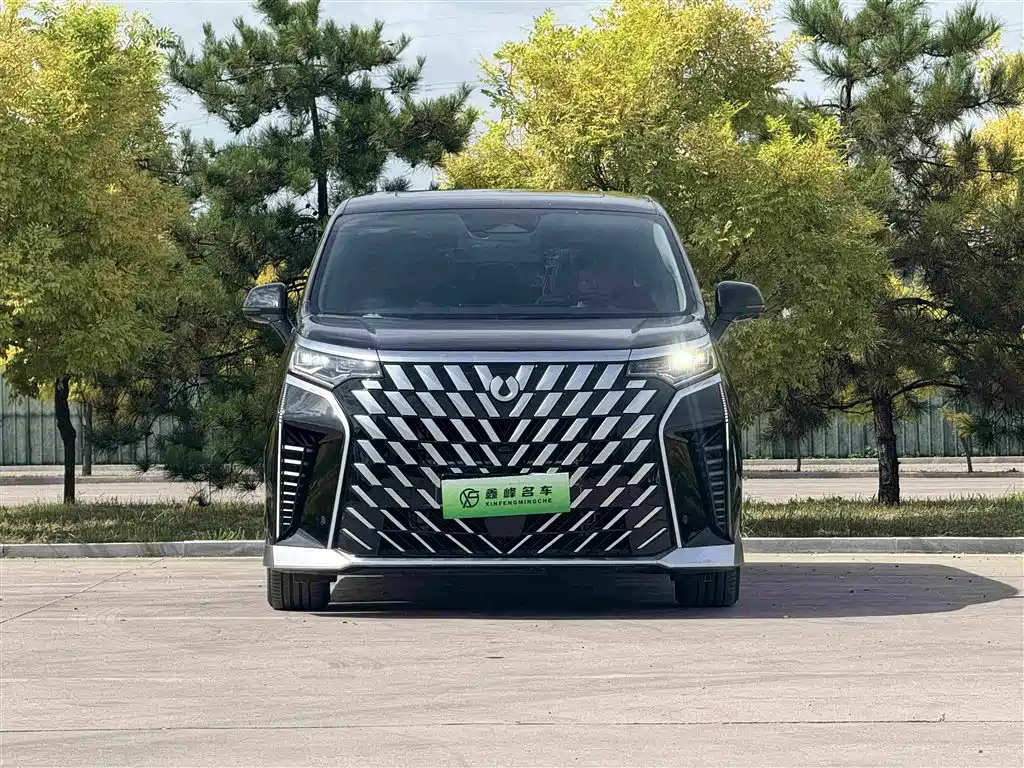 Tengri D9 2024 Model DM-i 1050 Premium Edition