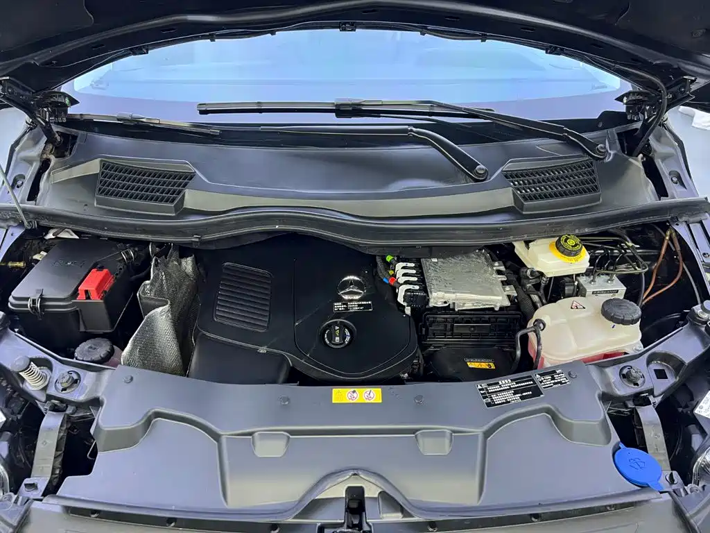 Volkswagen Viloran 2024 2.0T Elite Edition 7-seater