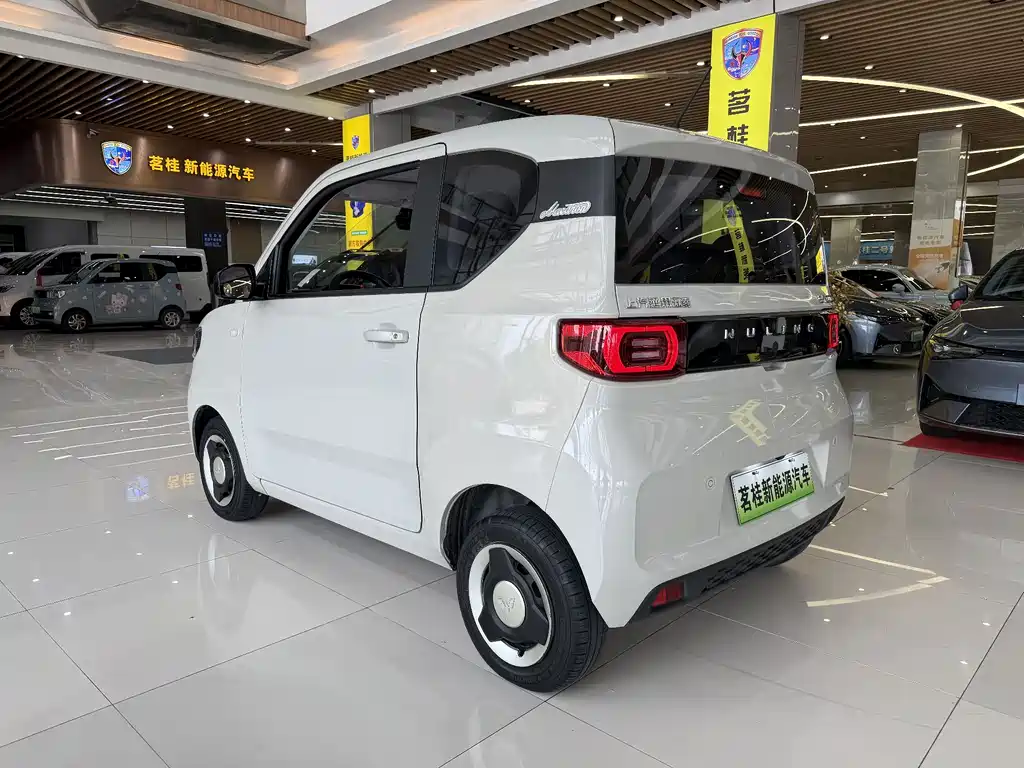 Macaron Zhenxiang Edition with LFP Battery