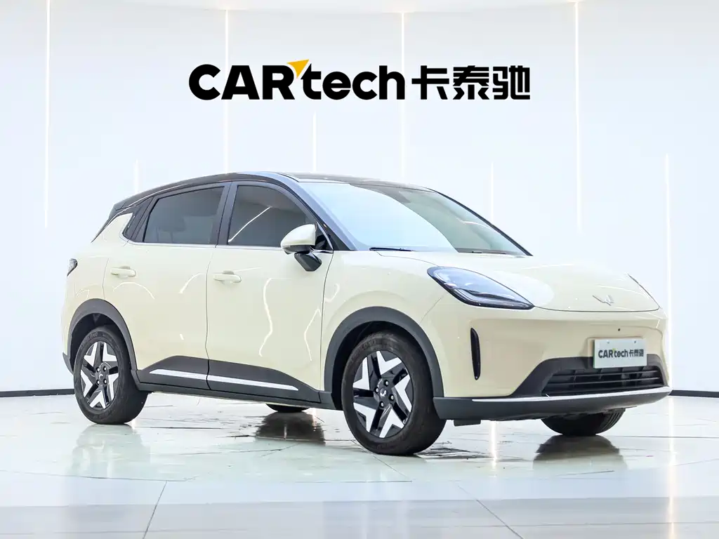 Bingo S 2025 Edition 430km Flagship Model