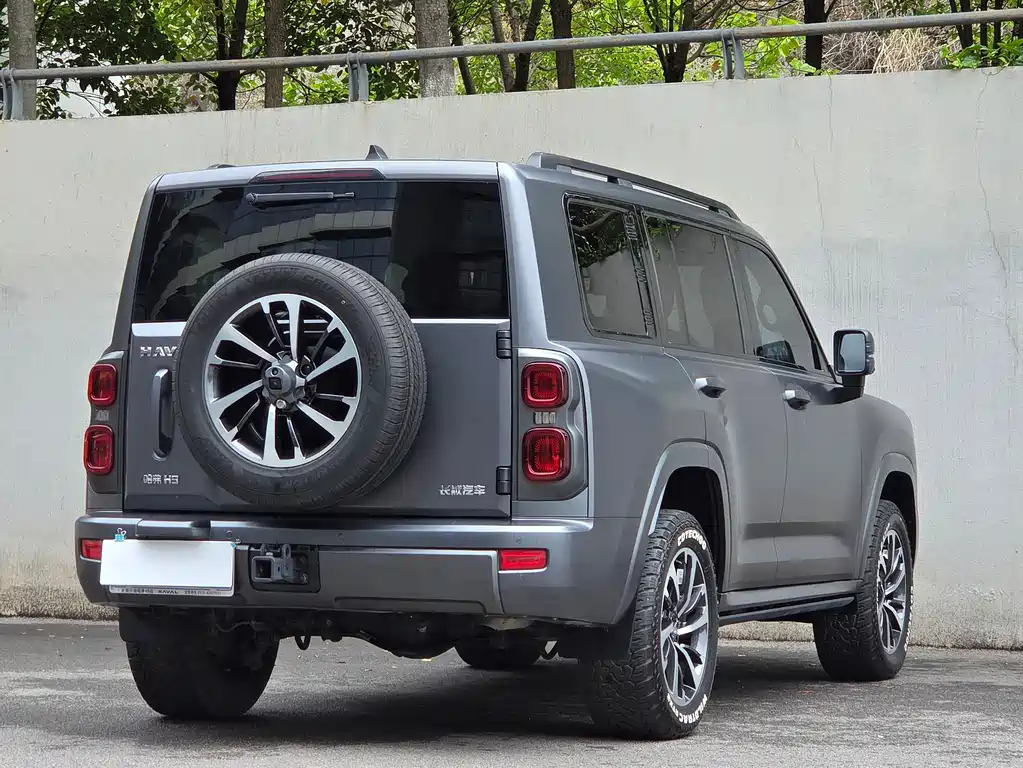 Haval H9 2024 Model 2.0T Gasoline 4WD Extreme Edition