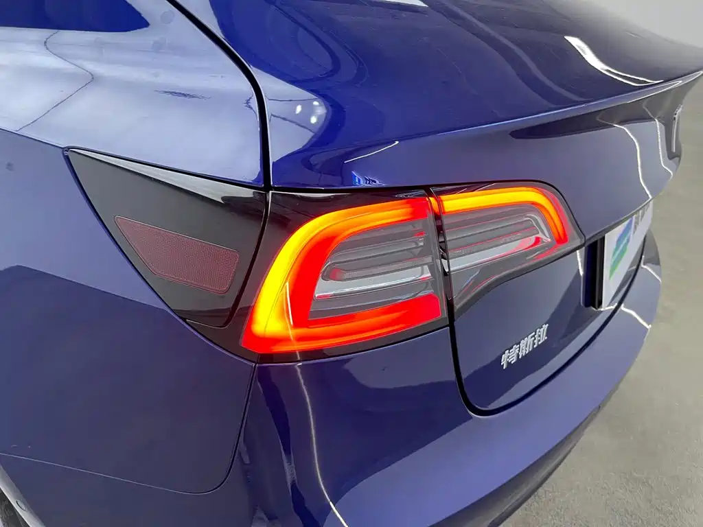 Model 3 2021 Rear-Wheel Drive Standard Range Upgrade Edition 3D1