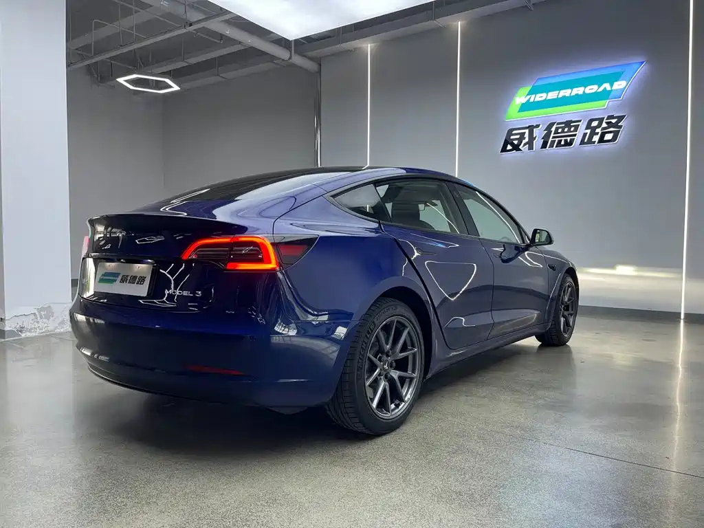 Model 3 2021 Rear-Wheel Drive Standard Range Upgrade Edition 3D1