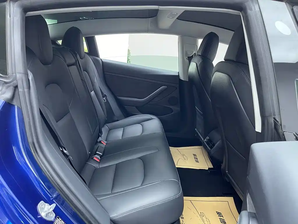 Model 3 2021 Rear-Wheel Drive Standard Range Upgrade Edition 3D1