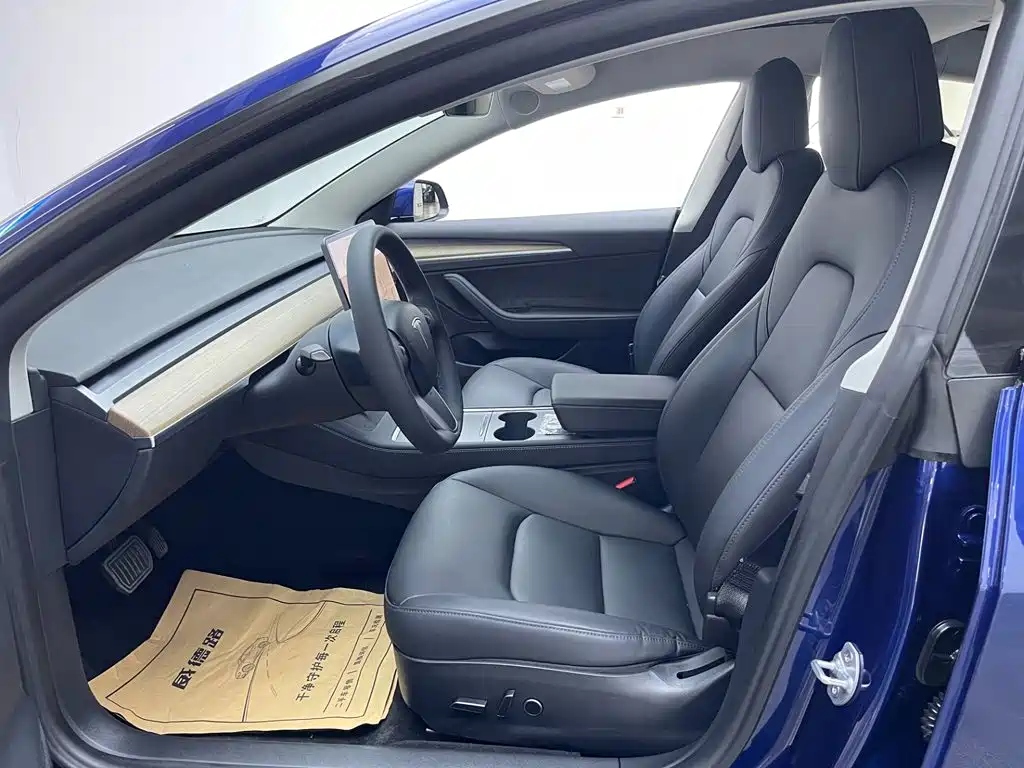 Model 3 2021 Rear-Wheel Drive Standard Range Upgrade Edition 3D1