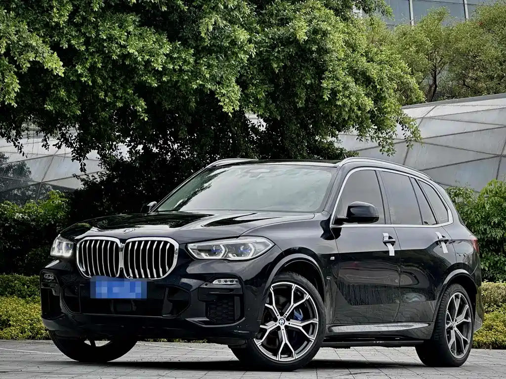 BMW X5 Imported 2019 Model xDrive40i Luxury Edition M Sport Package