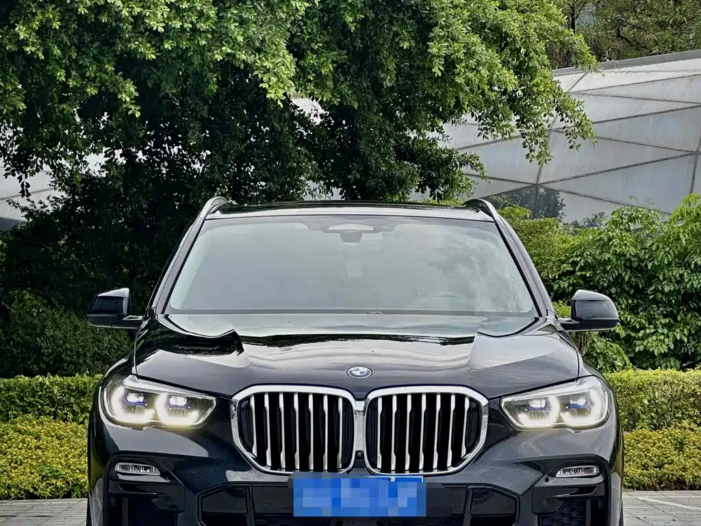 BMW X5 Imported 2019 Model xDrive40i Luxury Edition M Sport Package