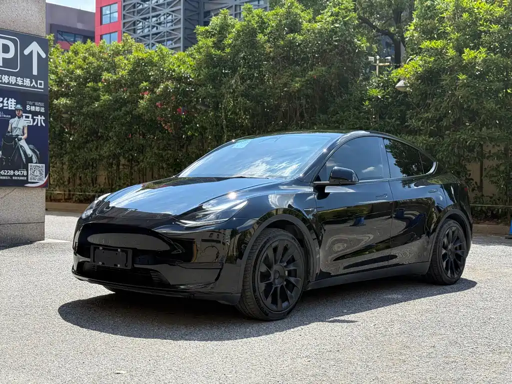 Model Y 2022 Rear-Wheel Drive Edition
