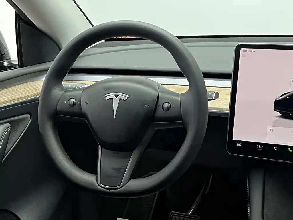 Model Y 2022 Rear-Wheel Drive Edition