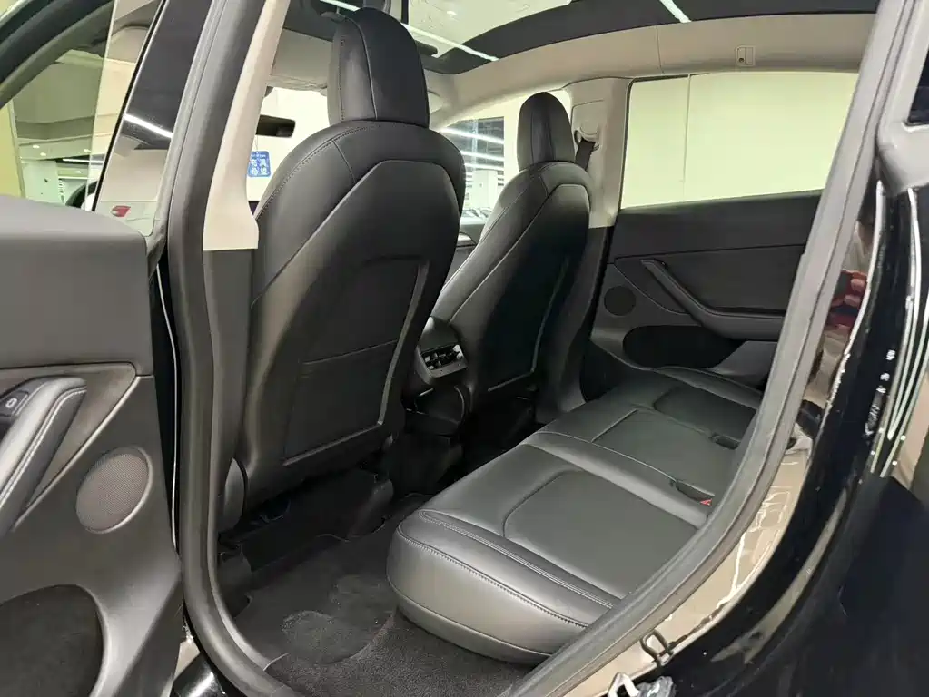Model Y 2021 Standard Range Rear-Wheel Drive Edition