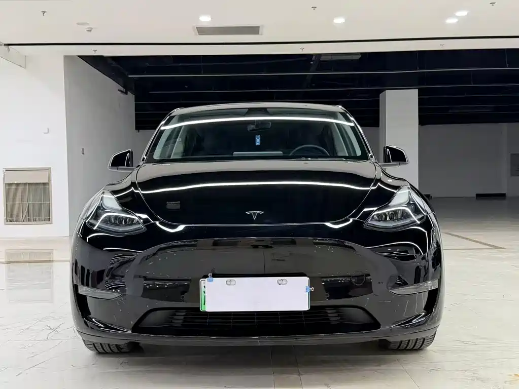 Model Y 2021 Standard Range Rear-Wheel Drive Edition