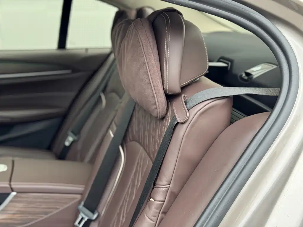 BMW 5 Series 2020 530Li Leading Edition Luxury Package