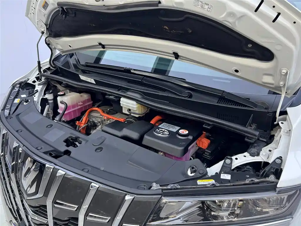 Alphard 2021款 Hybrid 2.5L Luxury Edition