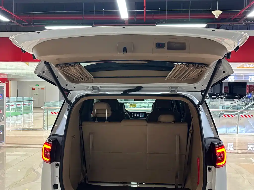 Buick GL8 2021 ES Luxury 653T