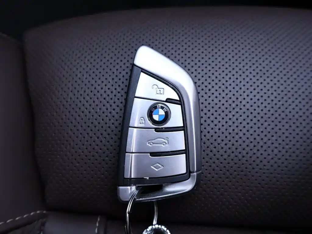 BMW 5 Series 2020 530Li Executive Luxury Package