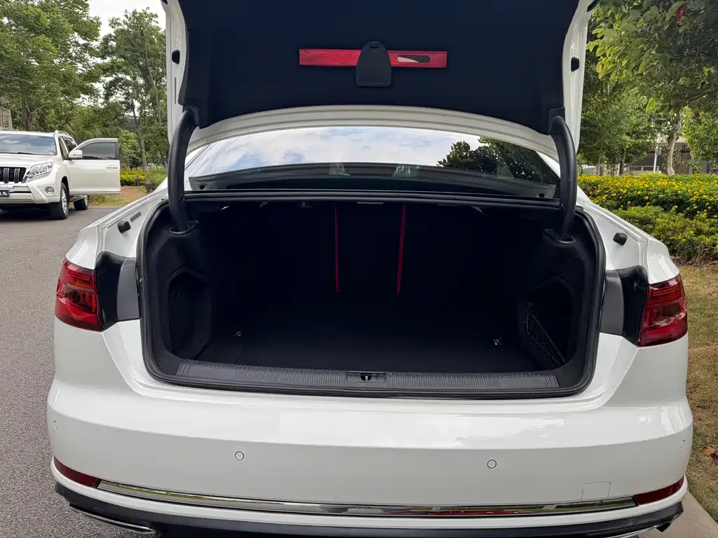 Audi A4L 2019 40 TFSI进取型国V