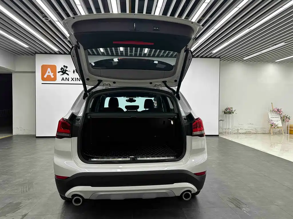 BMW X1 xDrive25Li Luxury Edition 2020